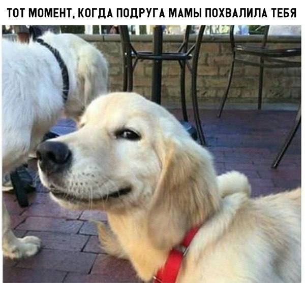 ТОТ МОМЕНТ КОГДА ППЦРУГА МАМЫ ППХВАПИПА ТЕБЯ 1 А