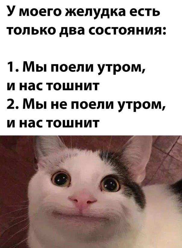 У моего желудка есть только два состояния 1 Мы поели утром и нас тошнит 2 Мы не поели утром и нас тошнит
