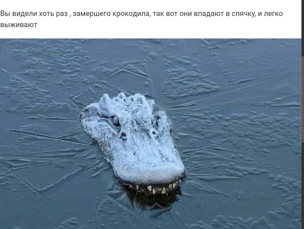 вип пи