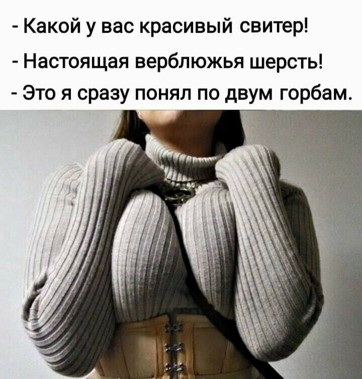 Какой у вас красивый свитер Настоящая верблюжья шерсть Это я сразу понял по двум горбам
