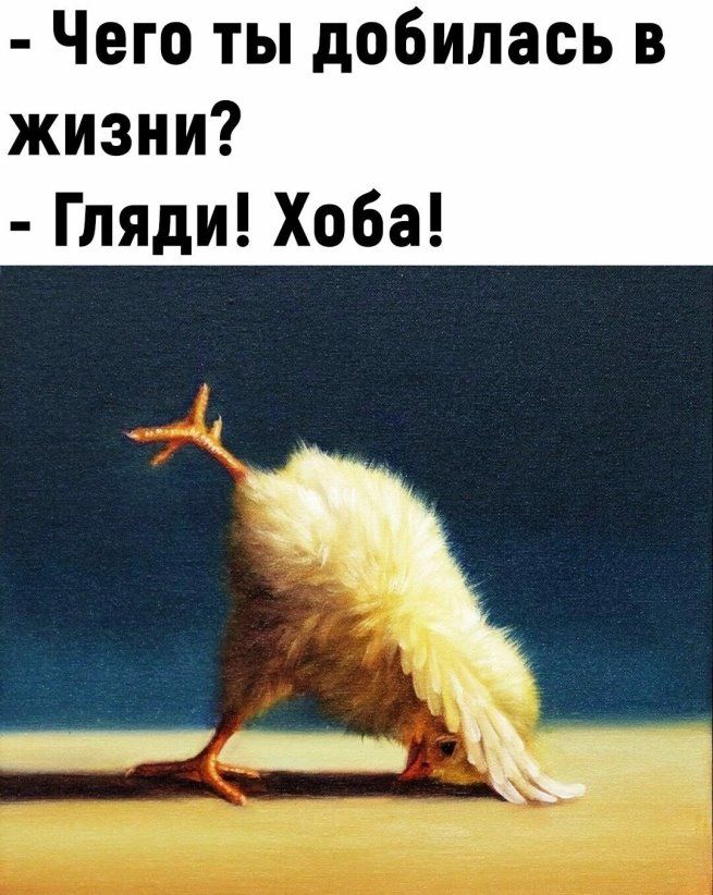 Чего ты добилась в жизни Гляди Хоба