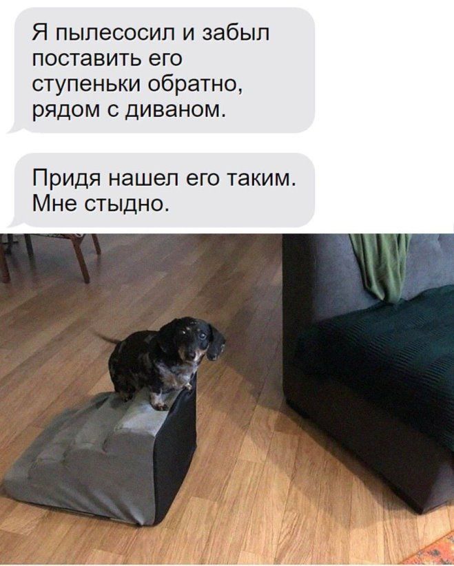 Я пыпесосип и забыл ПОСТЗВИТЬ ЕГО ступеньки обратно рядом с диваном Придя нашел его таким Мне стыдно