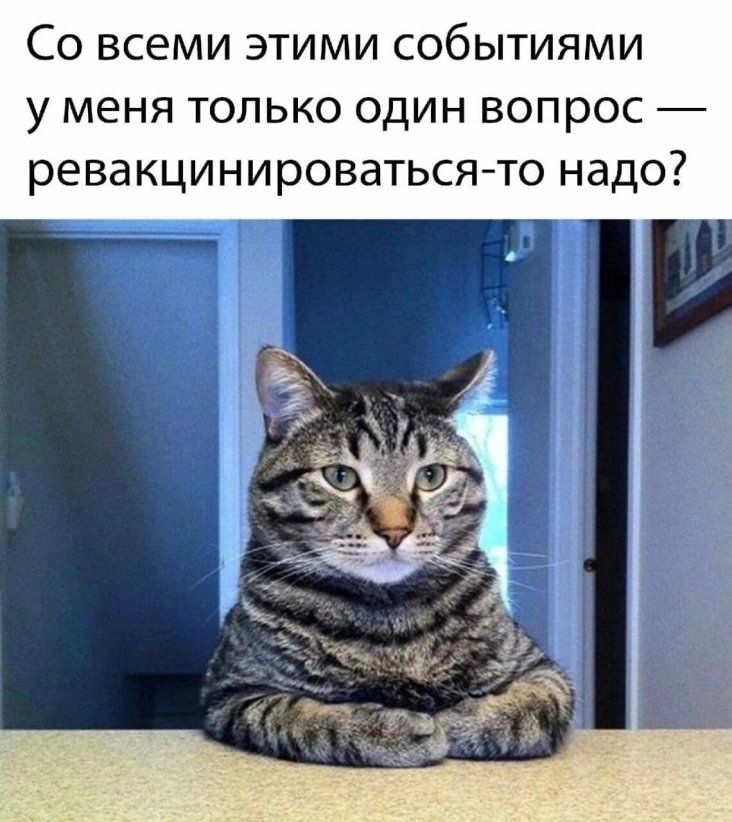 СО ВСЕМИ ЭТИМИ СОбЫТИЯМИ у МЕНЯ ТОЛЬКО ОДИН ВОПРОС _ ревакцинироватьсято НдДО