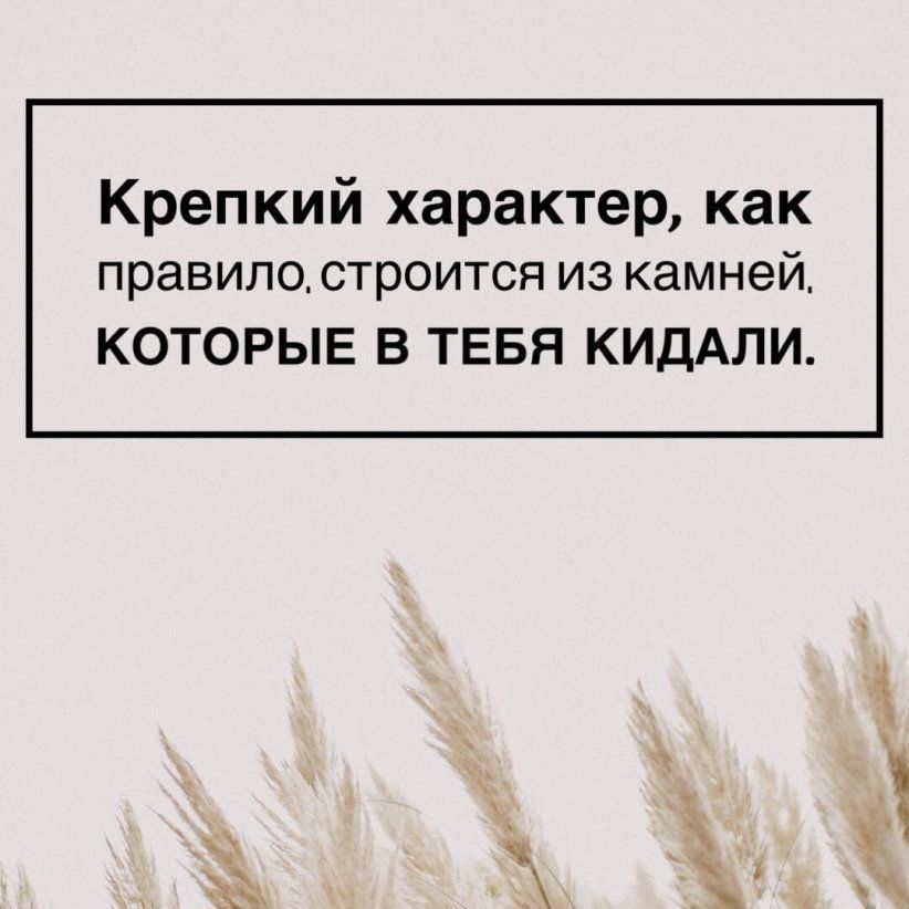 Крепкий характер как правило строится из камней КОТОРЫЕ В ТЕБЯ КИДАЛИ даа