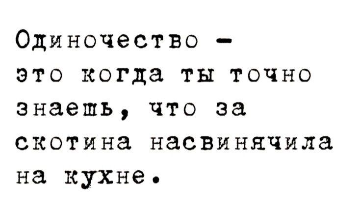 Одиночество это когда ты точно знаешь что за скотина насвинячила на кухне