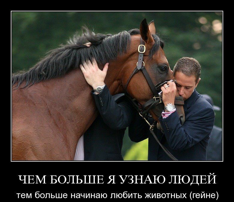 ЧЕМ БОЛЬШЕ Я УЗНА10 ЛЮДЕЙ нем больше начинаю любить животных гейне