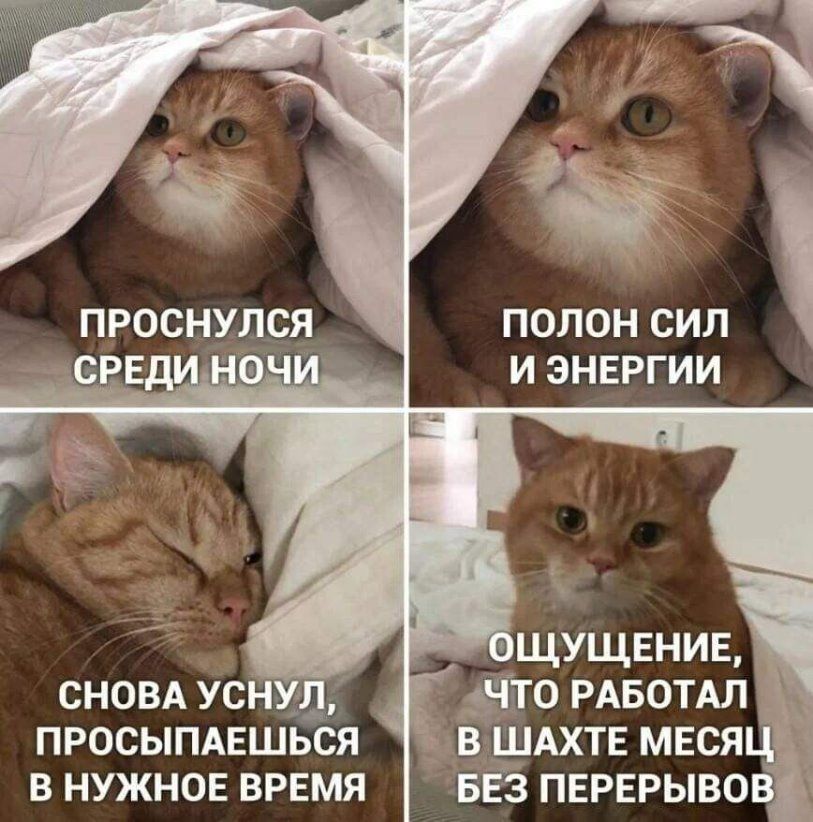 ПОЛОН СИЛ И ЭНЕРГИИ ЩУЩЕНИЕ Йо РАБОТАЛ ПРОСЫПАЕШЬСЯ _ ВШАХТЕ МЕСЯ В НУЖНОЕ ВРЕМЯ БЕЗ ПЕРЕРЫВО