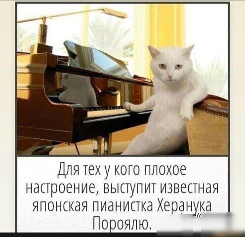 Для тех у кого плохое настроение выступит известная японская пианистка Херанука Попояпю юптпвт