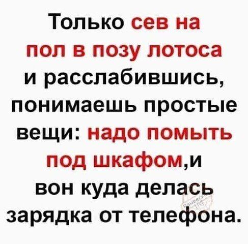 Только сев на пол в позу лотоса и расслабившись понимаешь простые вещи надо помыть под шкафомм вон куда делась зарядка от телефона