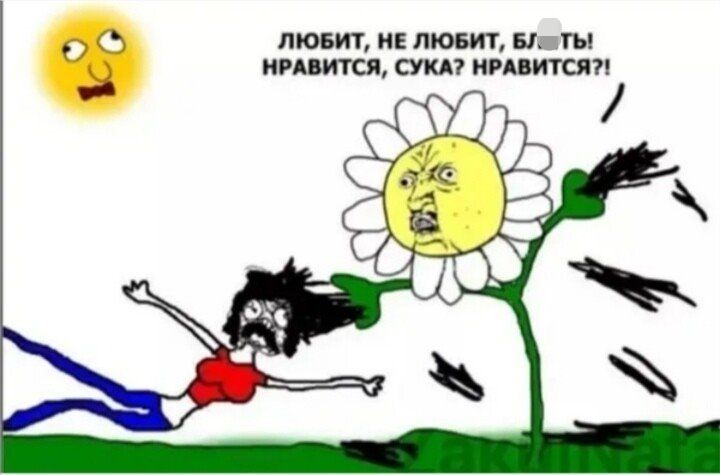 0 любит и любит пм пт сям шлпс п