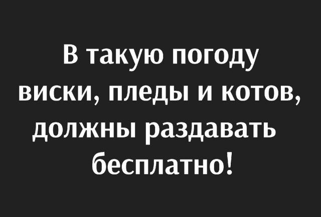 В такую погоду виски пледы и котов должны раздавать бесплатно