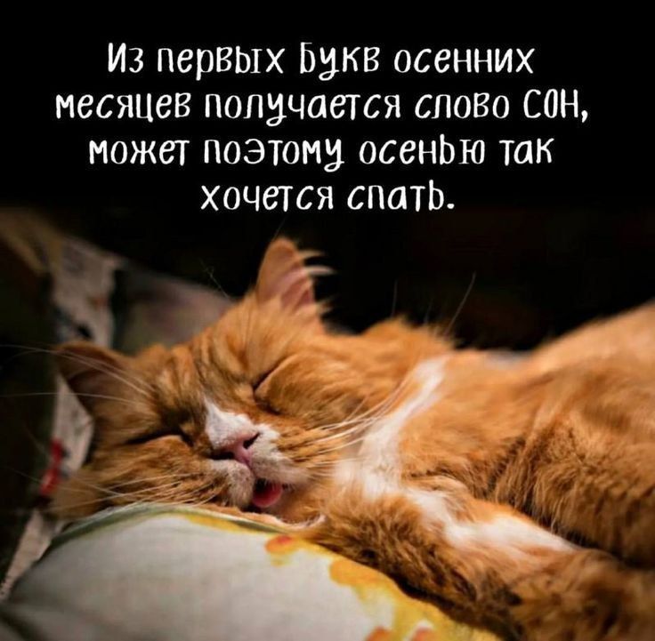Из первых бвкв осенних месяцев попдчается слово сон может поэтом осенЬю так хочется спать