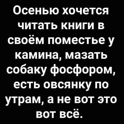 Осенью хочется читать книги в своём поместье у камина мазать собаку фосфором есть овсянку по утрам а не вот это вот всё