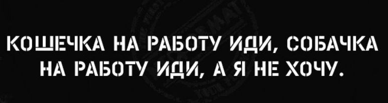 КОШЕЧКА НА РАБОТУ ИдИ СОБАЧКА НА РАБОТУ иди А Я НЕ ХОЧУ