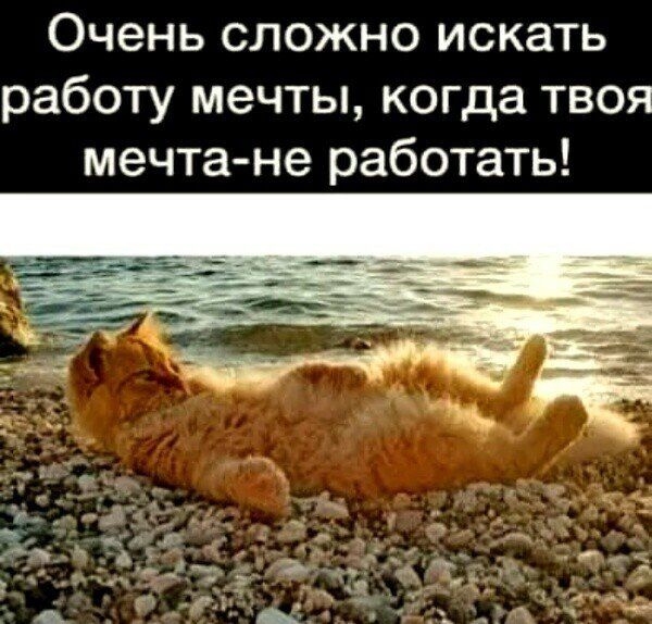 Очень сложно искать работу мечты когда твоя мечта не работать