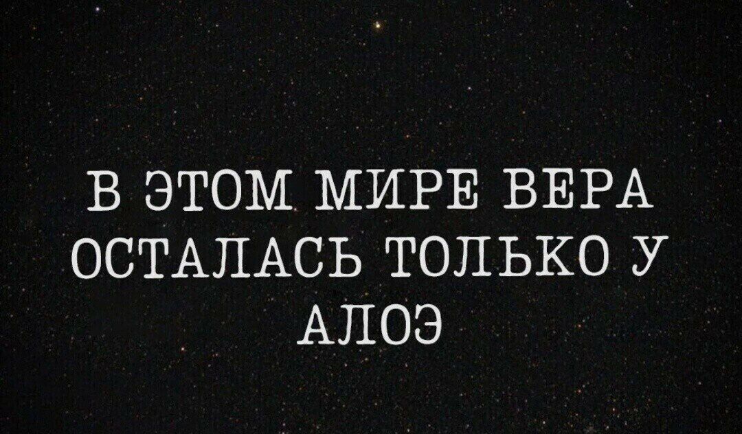 В ЭТОМ МИРЕ ВЕРА ОСТАЛАСЬ ТОЛЬКО У АЛОЭ
