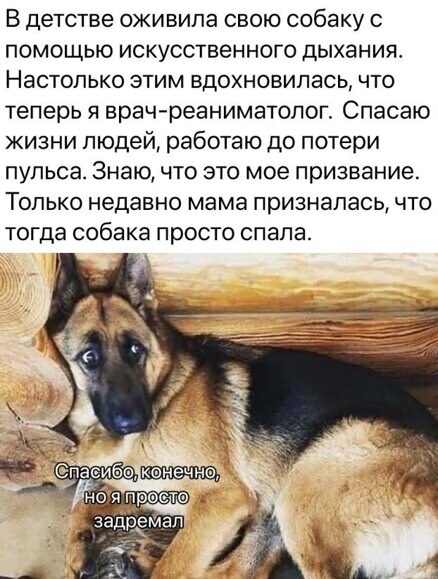 В детстве оживипа свою собаку с ПОМОЩЬЮ ИСКУССТВЕННОГО дыхания НЭСТОПЬКО ЭТИМ вдохновилась ЧТО теперь я врачреаниматолог Спасаю жизни людей работаю до потери пульса Знаю что это мое призвание ТОЛЬКО Недавно мама призналась ЧТО тогда собака просто спала паэмбэ нбя прокате