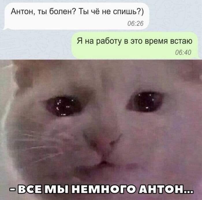 Антон ты болен Ты чё не спишь Я на работу в это время встаю из 40 ВСЕ МЫ НЕМНОГО АНТОН
