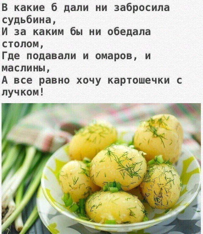 В какие 6 дали ни забросила судьбина И за каким бы ни обедала столом Где подавали и омаров и маслины А все равно хочу картошечки с пучком А Ч _ У