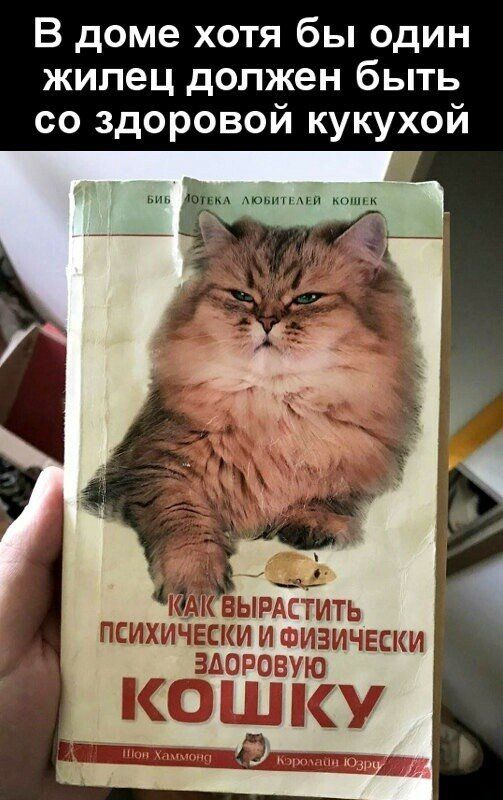 В доме хотя бы один жилец должен быть со здоровой кукухой