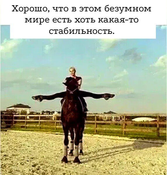 Хорошо что в этом безумном мире есть хоть какаято стабильность
