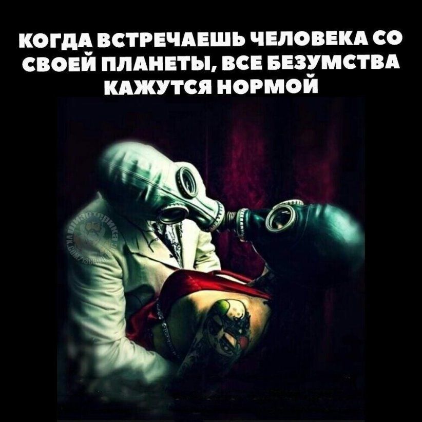 КОГДА СТРЕЧАЕШЬ ЧЕЛОВЕКА С СВО ПЛАНЕТЫ ВСЕ БЕЗУМСТВА киш пя НОРМОИ