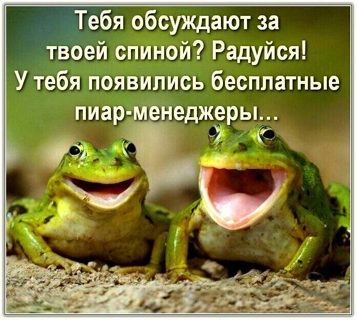 Тебя обсуждают за твоей спиной Радуйся У тебя появились бесплатные пиар менеджеры 5