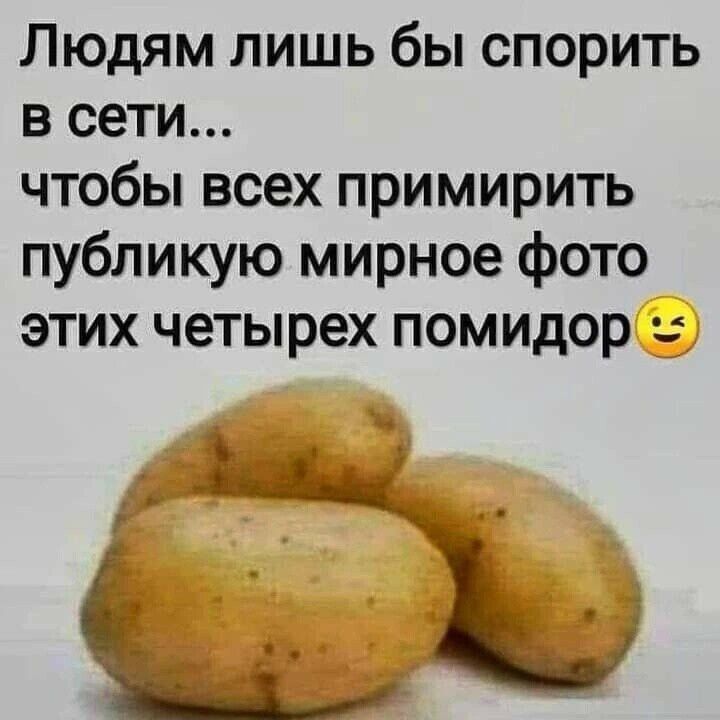Людям лишь бы спорить в сети чтобы всех примирить публикую мирное фото этих четырех помидор