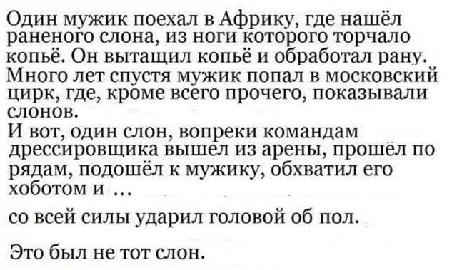 Один мужик поехал в Африку где нашёл раненого слона из ноги которого торчало копьё Он вытащил копьё и обработал рану Много лет спустя мужик попал в московский цирк где кроме всего прочего показывали слонов И вот один слон копреки командам дрессировщика вышел из арены прошел по рядам подошёл к мужику обхватил его хобогом и со всей силы ударил головой об пол Это был не тот слон