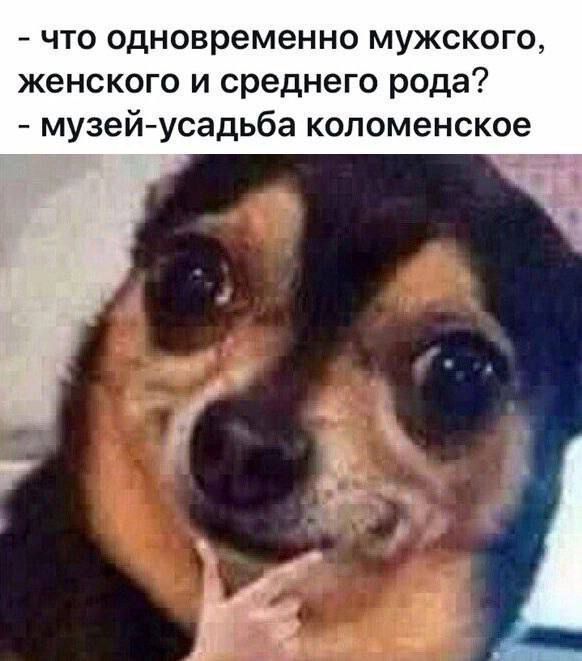 что одновременно мужского женского и среднего рода музейусадьба копоменское