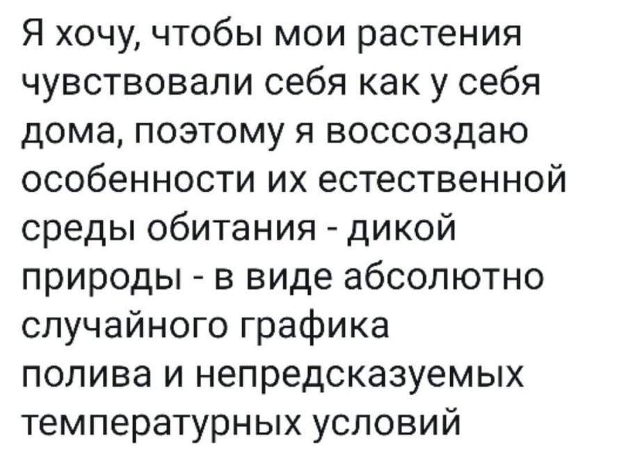 Я хочу чтобы мои растения чувствовали себя как у себя дома поэтому я воссоздаю особенности их естественной среды обитания дикой природы в виде абсолютно случайного графика полива и непредсказуемых температурных условий