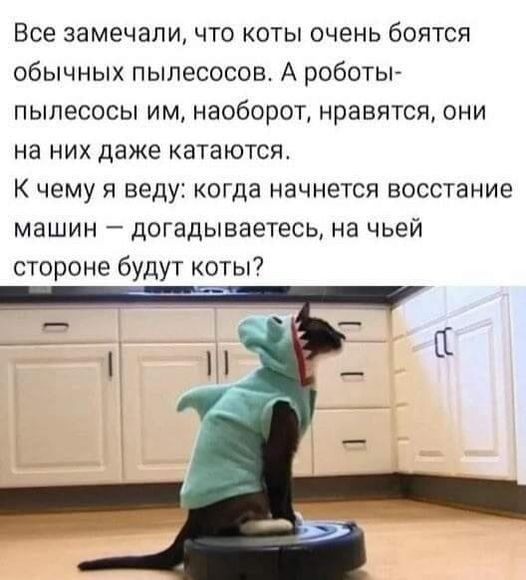 Все замечали что коты очень боятся обычных пылесосов А роботьг пылесосы им наоборот нравятся они на них даже катаются К чему я веду когда начнется восстание машин догадываетесь на чьей стороне будут оты7