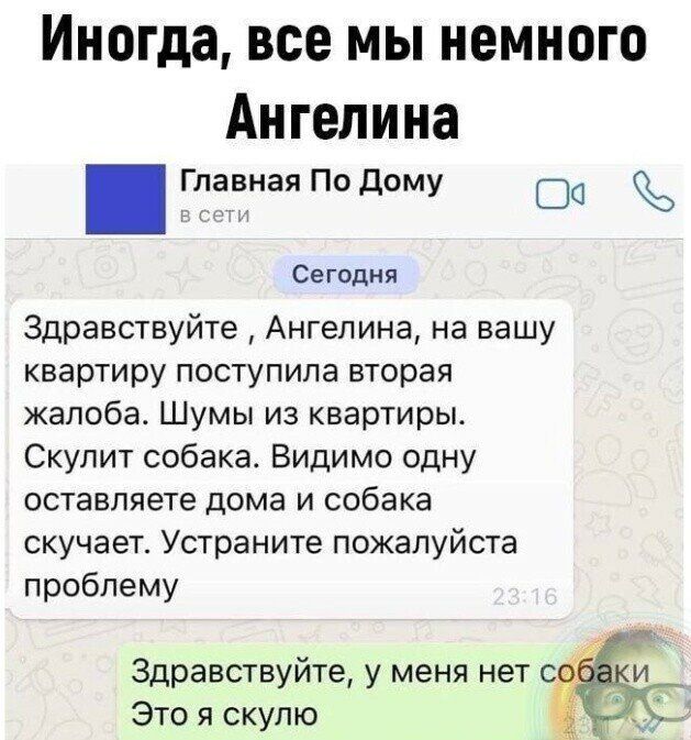 Иногда все мы немного Ангелина Главная По дому 00 Сегодня Здравствуйте Ангелина на вашу квартиру поступила вторая жалоба Шумы из квартиры Скулит собака Видимо одну оставляете дома и собака скучает Устраните пожалуйста проблему Здравствуйте у меня нет Это я скулю