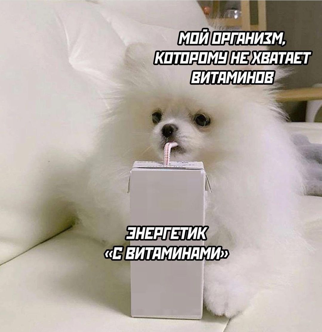 Малышки кптппмн н квлтлгт