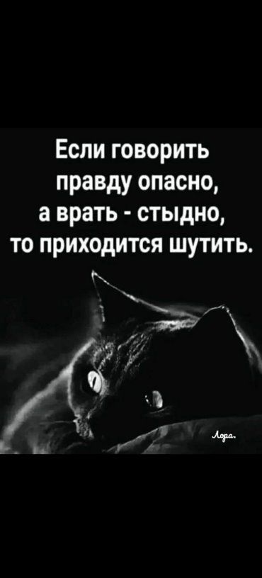 Если говорить правду опасно а врать стыдно то приходится шутить гг 4