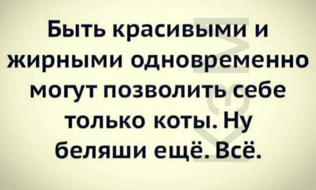 Быть красивыми и жирными одновременно могут позволить себе только коты Ну беляши ещё Всё