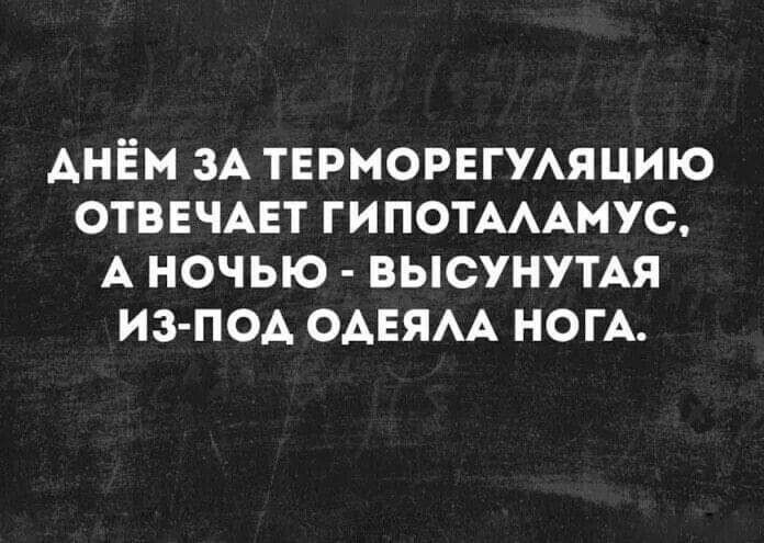 АНЁМ ЗА ТЕРМОРЕГУАЯЦИЮ ОТВЕЧАЕТ ГИПОТАААМУС А НОЧЬЮ ВЫСУНУТАЯ ИЗ ПОА ОАЕЯАА НОГА