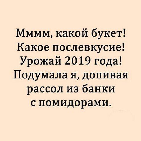 Мммм какой букет Какое послевкусие Урожай 2019 года Подумала я допивая рассол из банки с помидорами