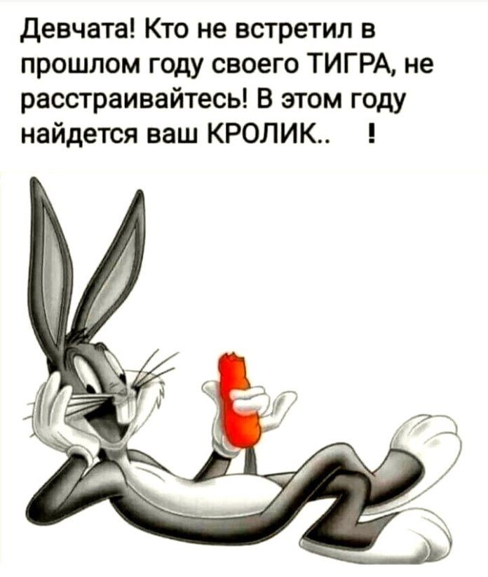 Девчата Кто не встретил в прошлом году своего ТИГРА не расстраивайтесь В этом году найдется ваш КРОЛИК