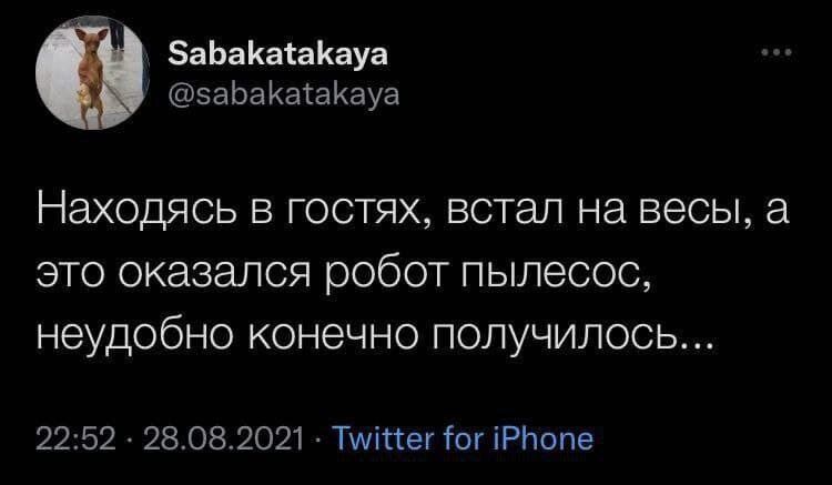ЗаЬаКаіаКауа эаЬаКатаКауа Находясь В ГОСТЯХ встал на весы а ЭТО оказался робот ПЫЛЭСОС Неудобно КОНЭЧНО получилось 2252 28082021 Тшікег Гог іРиопе
