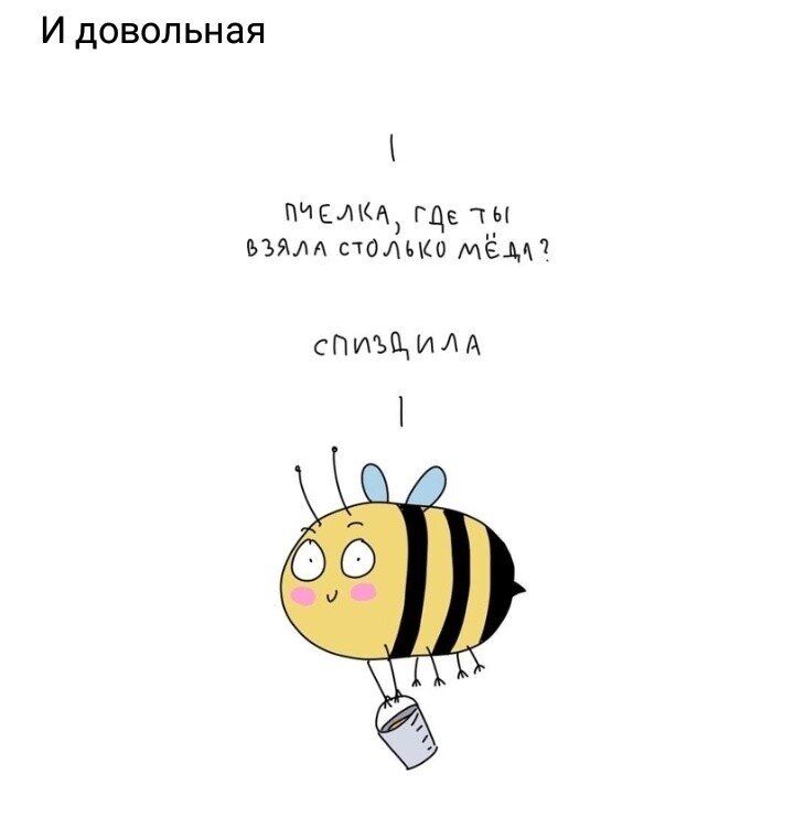 И довольная ЧЕА ГДЕУЫ ьэям патио МЁА7 спиъщилд