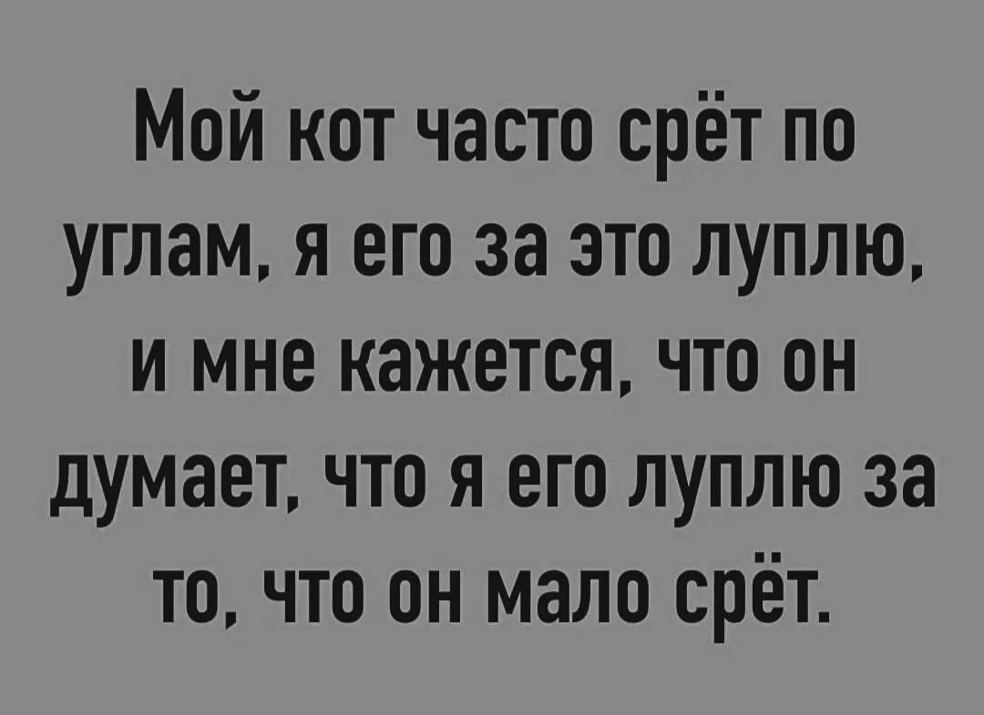 Мой кот часто срёт по углам я его за это луплю и мне кажется что он думает что я его луплю за то что он мало срёт