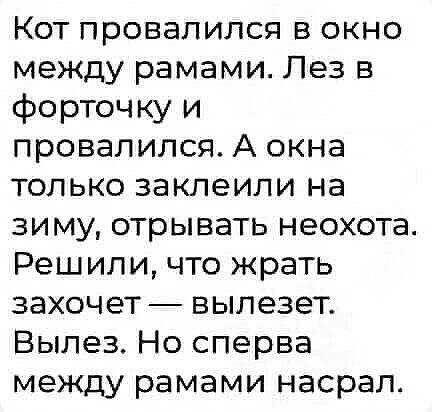 Кот провалился в окно между рамами Лез в форточку и провалился А окна только заклеили на зиму отрывать неохота Решили что жрать захочет вылезет Вылез Но сперва между рамами насрал