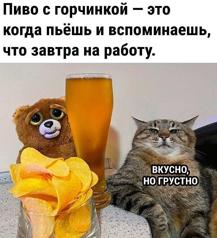 Пиво горчинкой это когда пьёшь и вспоминаешь что завтра на работу г