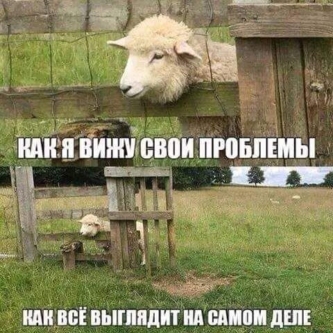 ШШ ВЕЁ ВЫПШЦИТ Ш ШШШ дШЕ