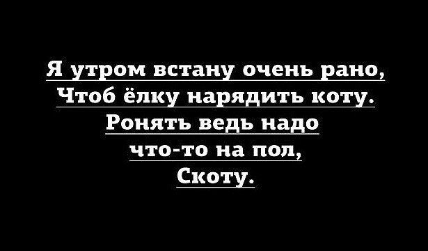 я утром встану очень рано Чтоб ёлку нарядить коту Роиятъ ведь пузо что то на пол Скоту