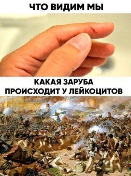 ЧТО видим МЫ и га кдкдя ЗАРУБА происходит У лвйкоцитов