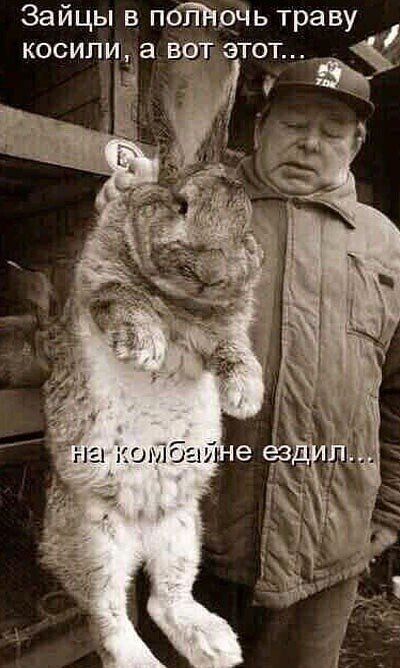 Зайцы в пбНРЮЧЬ траву косили а ВТ этот
