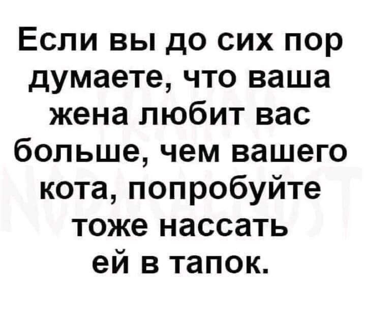 Если вы до сих пор думаете что ваша жена любит вас больше чем вашего кота попробуйте тоже нассать ей в тапок