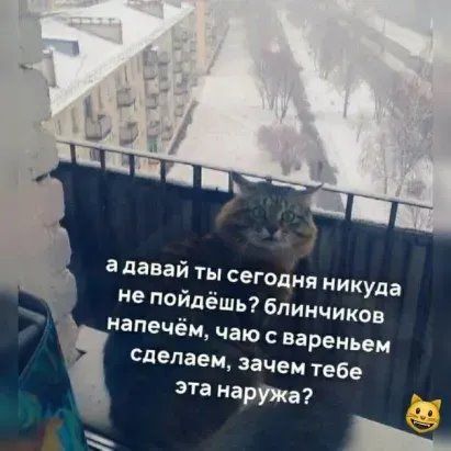 а давай ты сегод ня никуда НЕ пойдёшь бПИМЧИКОВ напечём чаю вареньем сделаем зачем тебе эта карри